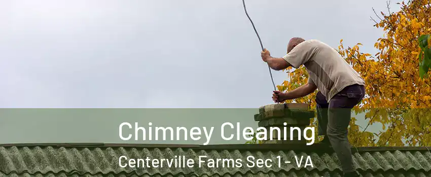Chimney Cleaning Centerville Farms Sec 1 - VA