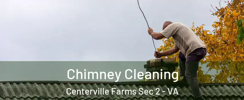 Chimney Cleaning Centerville Farms Sec 2 - VA