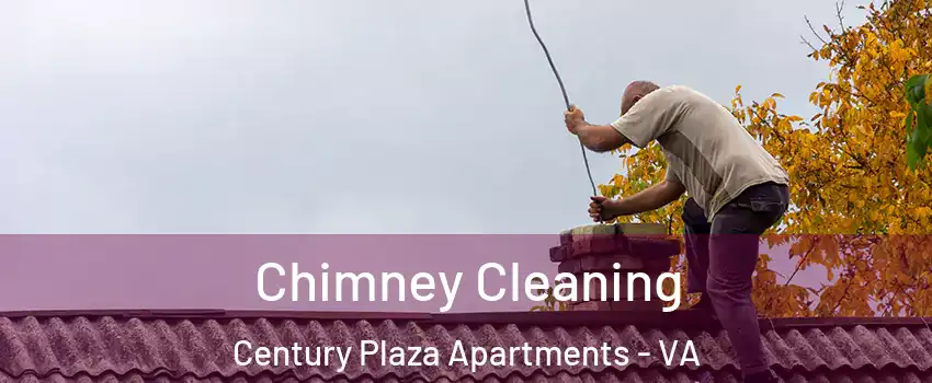 Chimney Cleaning Century Plaza Apartments - VA