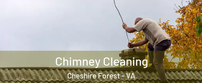 Chimney Cleaning Cheshire Forest - VA