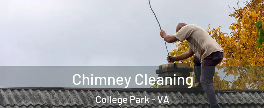 Chimney Cleaning College Park - VA