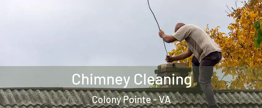 Chimney Cleaning Colony Pointe - VA