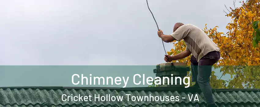 Chimney Cleaning Cricket Hollow Townhouses - VA