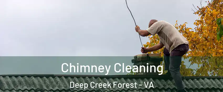 Chimney Cleaning Deep Creek Forest - VA