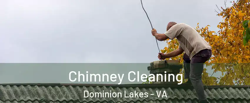 Chimney Cleaning Dominion Lakes - VA