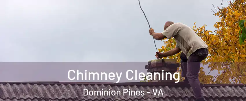 Chimney Cleaning Dominion Pines - VA
