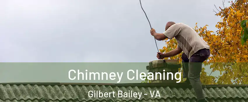 Chimney Cleaning Gilbert Bailey - VA