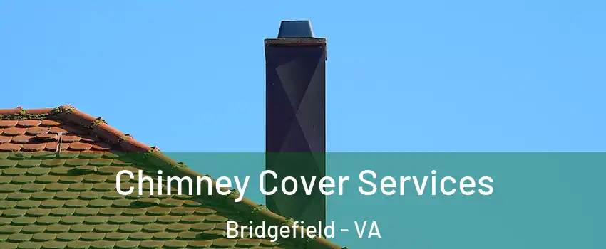 Chimney Cover Services Bridgefield - VA