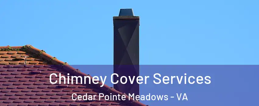 Chimney Cover Services Cedar Pointe Meadows - VA