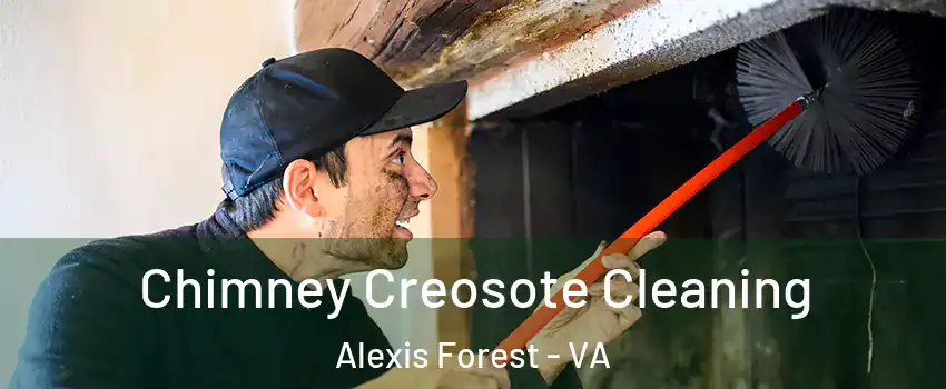 Chimney Creosote Cleaning Alexis Forest - VA