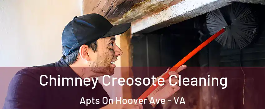 Chimney Creosote Cleaning Apts On Hoover Ave - VA