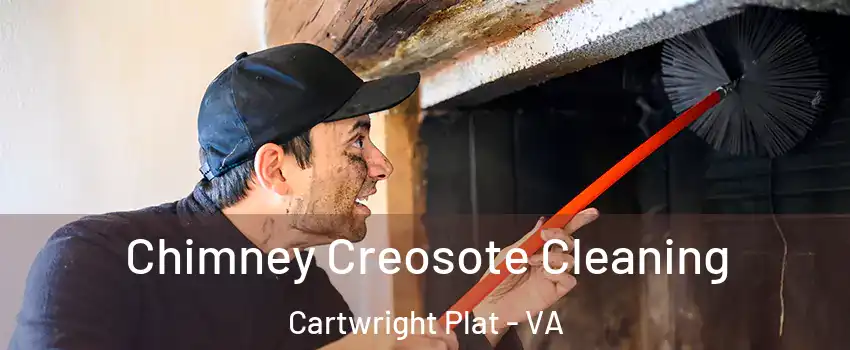 Chimney Creosote Cleaning Cartwright Plat - VA