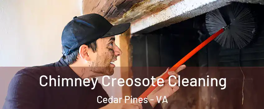Chimney Creosote Cleaning Cedar Pines - VA