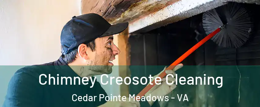 Chimney Creosote Cleaning Cedar Pointe Meadows - VA
