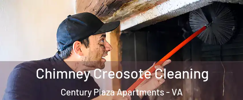 Chimney Creosote Cleaning Century Plaza Apartments - VA