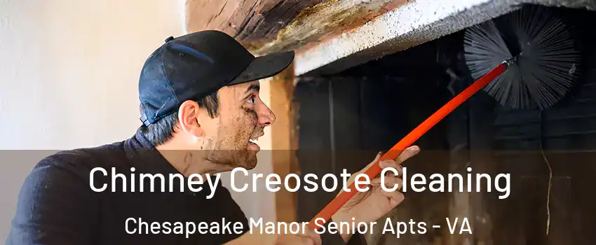 Chimney Creosote Cleaning Chesapeake Manor Senior Apts - VA