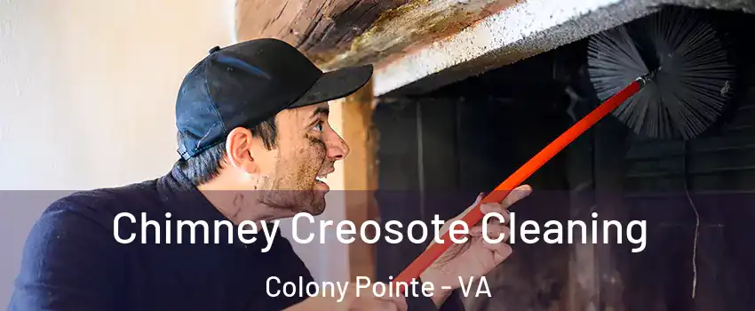 Chimney Creosote Cleaning Colony Pointe - VA