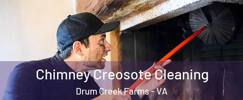 Chimney Creosote Cleaning Drum Creek Farms - VA