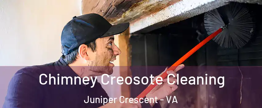 Chimney Creosote Cleaning Juniper Crescent - VA