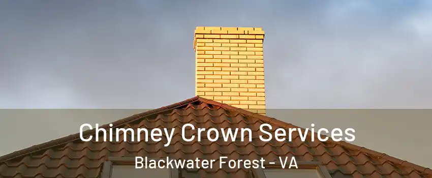Chimney Crown Services Blackwater Forest - VA