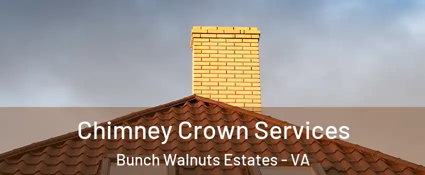 Chimney Crown Services Bunch Walnuts Estates - VA