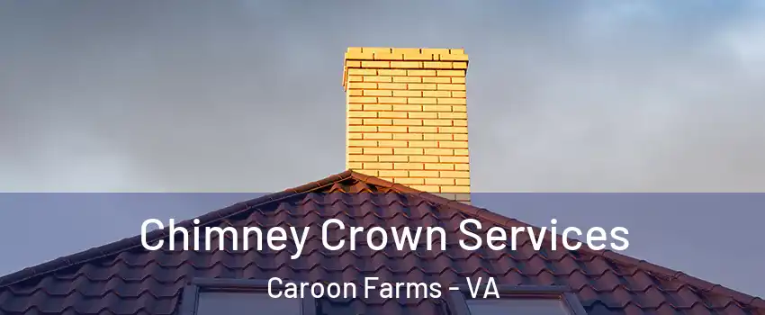 Chimney Crown Services Caroon Farms - VA
