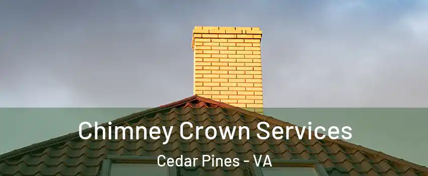 Chimney Crown Services Cedar Pines - VA