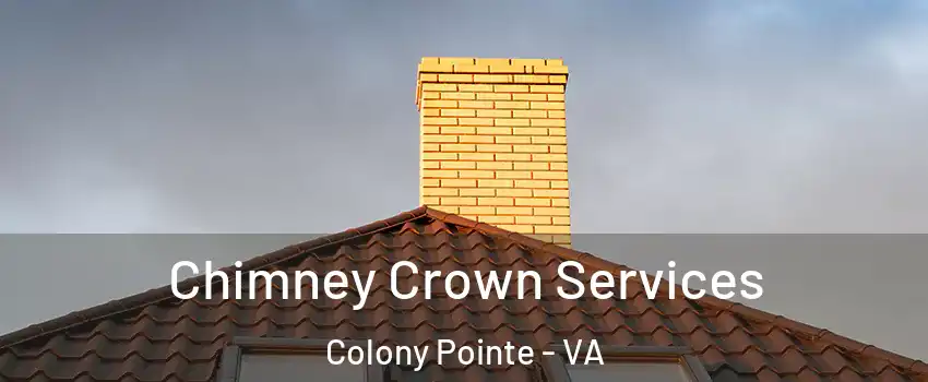 Chimney Crown Services Colony Pointe - VA