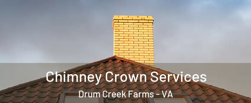 Chimney Crown Services Drum Creek Farms - VA