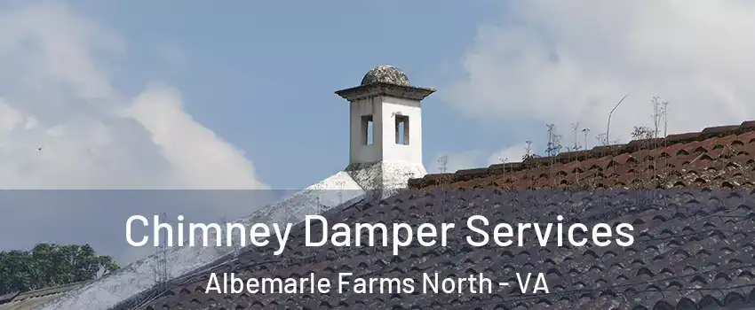 Chimney Damper Services Albemarle Farms North - VA