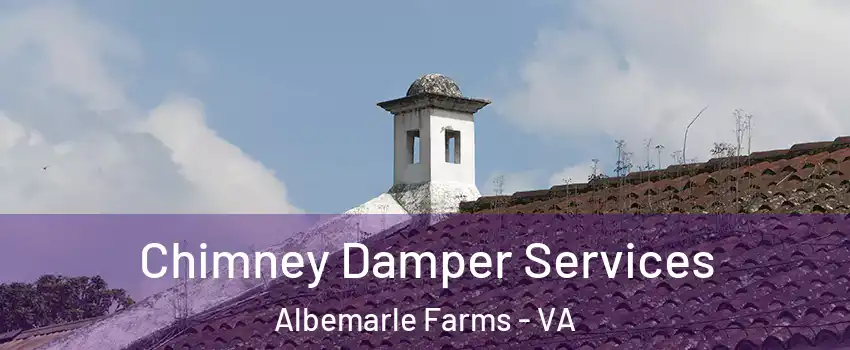 Chimney Damper Services Albemarle Farms - VA