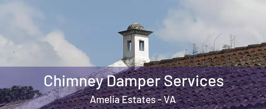 Chimney Damper Services Amelia Estates - VA