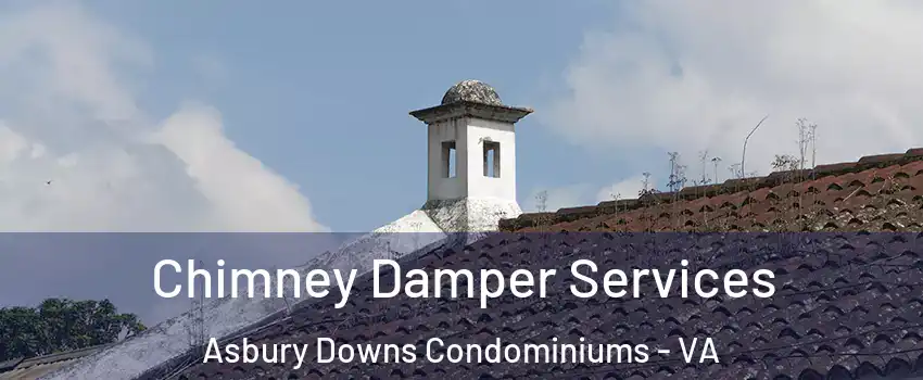 Chimney Damper Services Asbury Downs Condominiums - VA