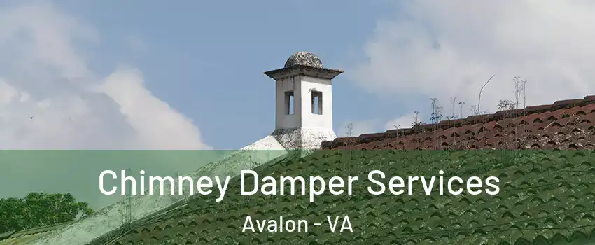 Chimney Damper Services Avalon - VA