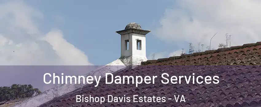 Chimney Damper Services Bishop Davis Estates - VA