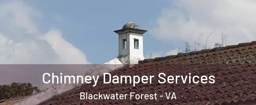 Chimney Damper Services Blackwater Forest - VA