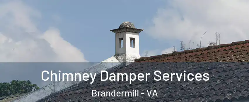 Chimney Damper Services Brandermill - VA