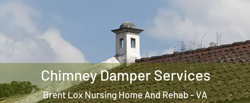 Chimney Damper Services Brent Lox Nursing Home And Rehab - VA