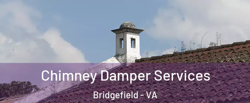 Chimney Damper Services Bridgefield - VA