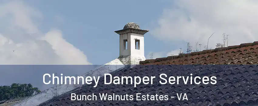 Chimney Damper Services Bunch Walnuts Estates - VA