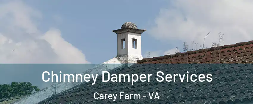 Chimney Damper Services Carey Farm - VA