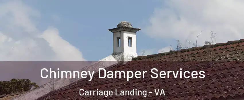 Chimney Damper Services Carriage Landing - VA