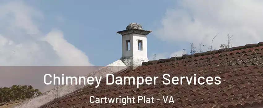 Chimney Damper Services Cartwright Plat - VA