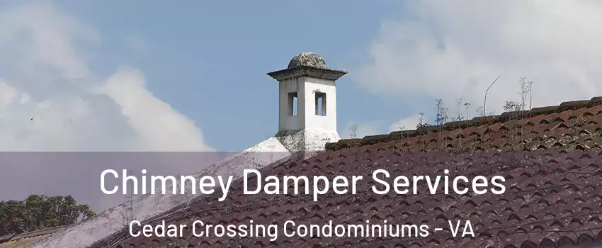 Chimney Damper Services Cedar Crossing Condominiums - VA