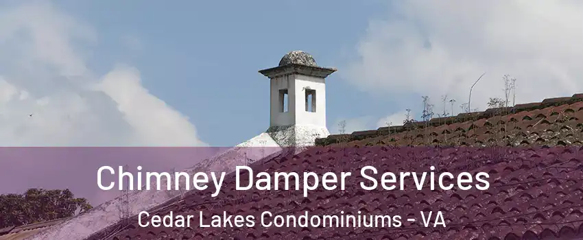 Chimney Damper Services Cedar Lakes Condominiums - VA