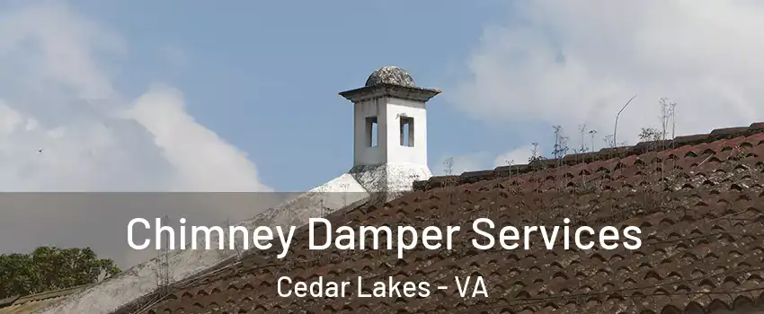 Chimney Damper Services Cedar Lakes - VA