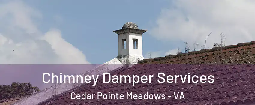 Chimney Damper Services Cedar Pointe Meadows - VA