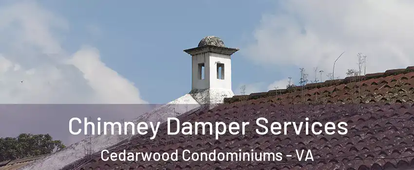 Chimney Damper Services Cedarwood Condominiums - VA