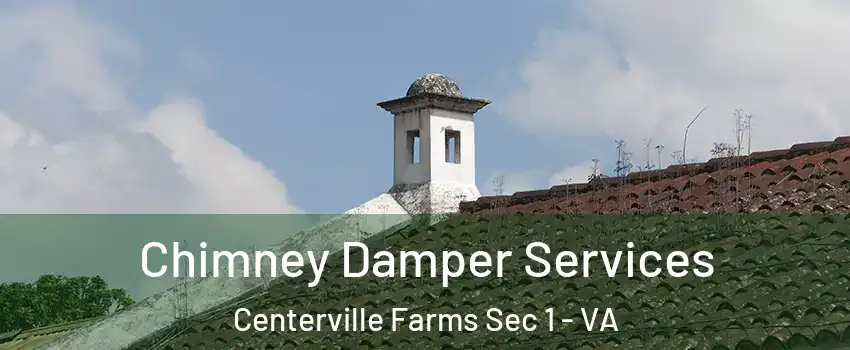 Chimney Damper Services Centerville Farms Sec 1 - VA