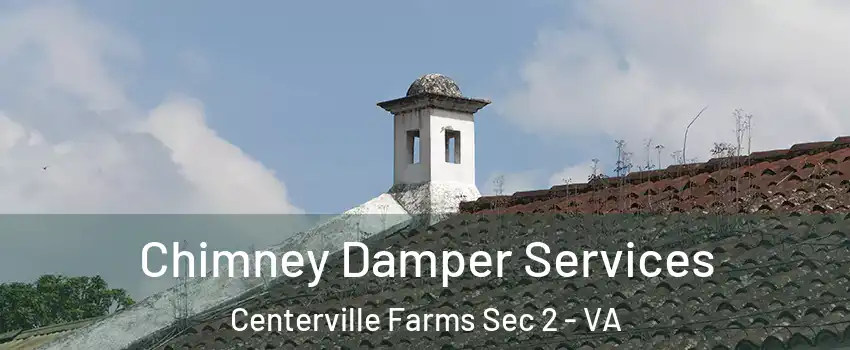 Chimney Damper Services Centerville Farms Sec 2 - VA